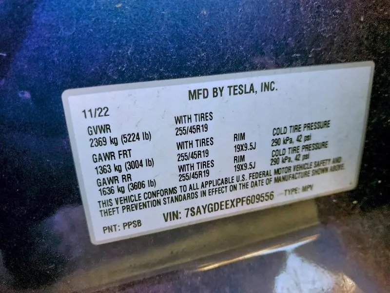 2023 TESLA MODEL Y   