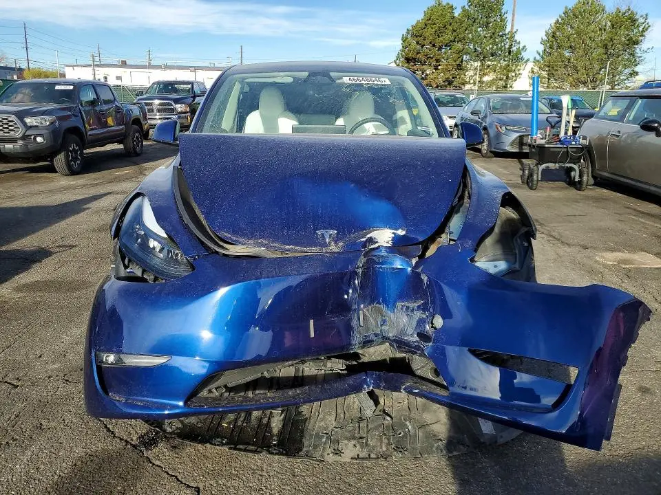 2025 TESLA MODEL Y   