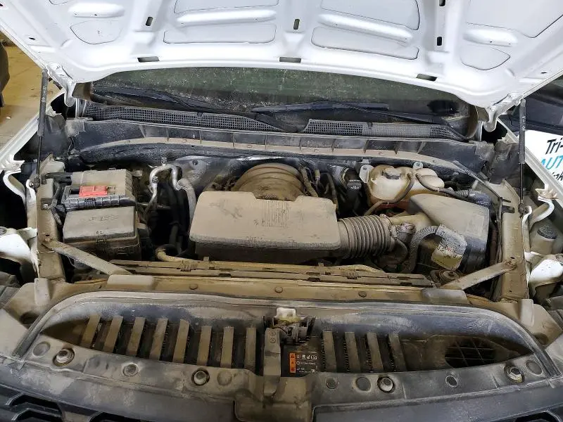 2019 CHEVROLET SILVERADO C1500  