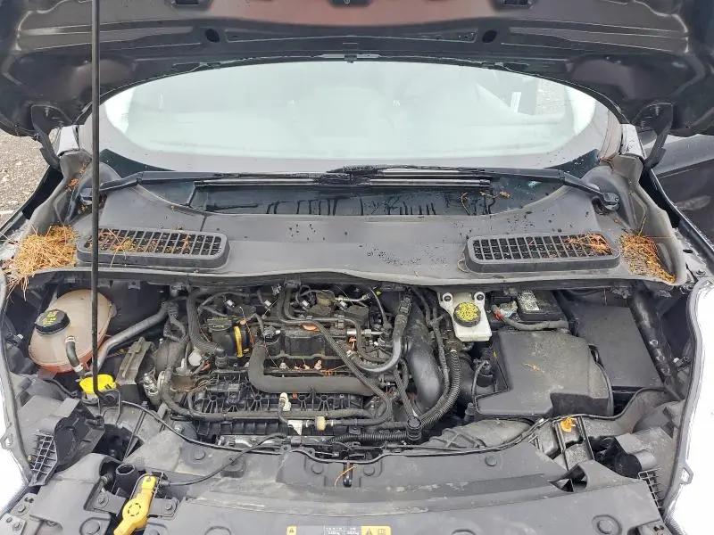 2019 FORD ESCAPE SE  