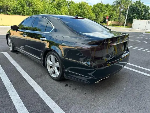2010 LEXUS LS 460  