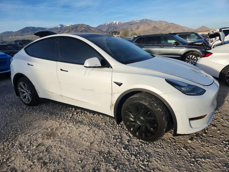 2022 TESLA MODEL Y   