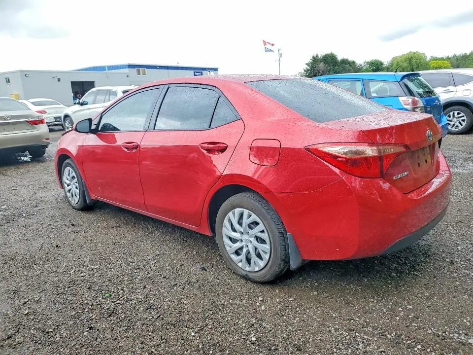 2019 TOYOTA COROLLA L  