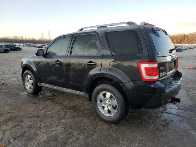 2011 FORD ESCAPE LIMITED