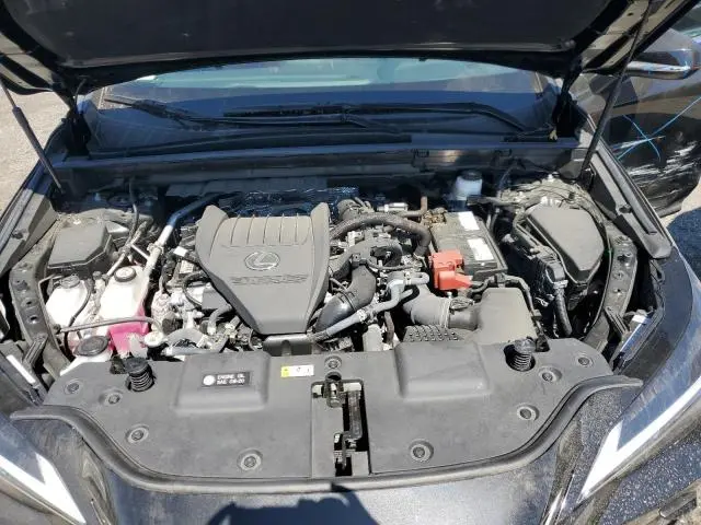 2024 LEXUS NX 350 BASE  