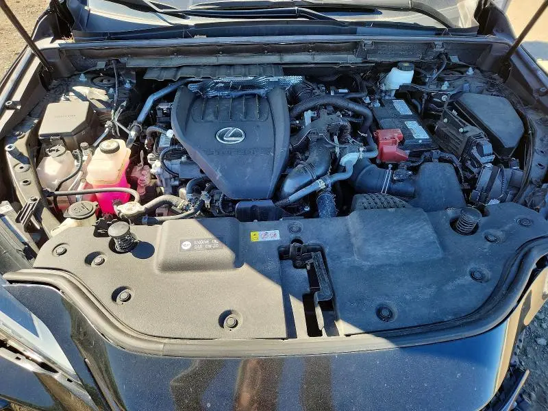 2024 LEXUS NX 350 PREMIUM  