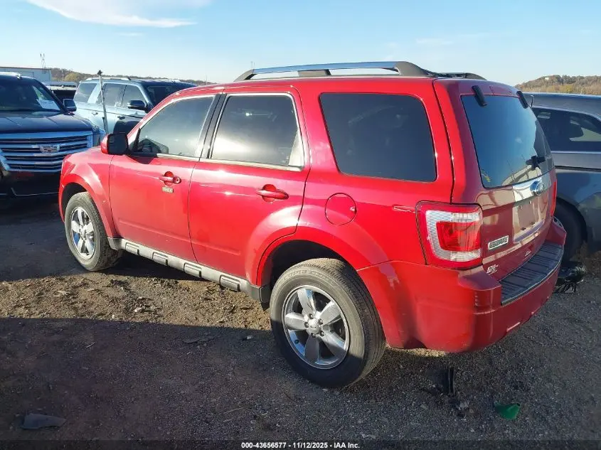 2010 FORD ESCAPE LIMITED