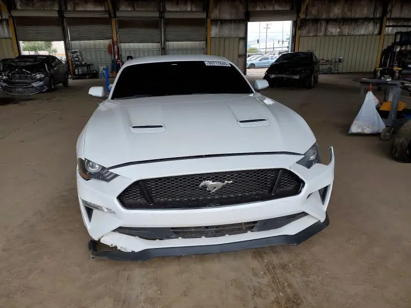2019 FORD MUSTANG GT  