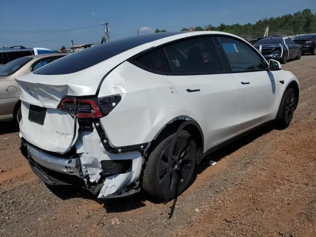 2025 TESLA MODEL Y   