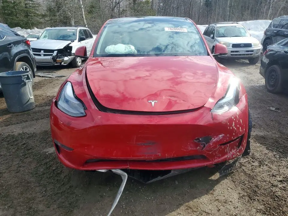 2023 TESLA MODEL Y   