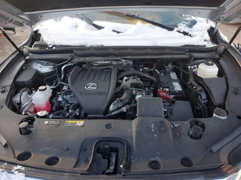 2024 LEXUS RX 350 PREMIUM+  