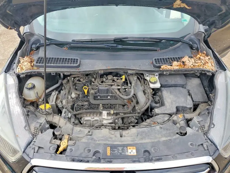 2019 FORD ESCAPE SE  