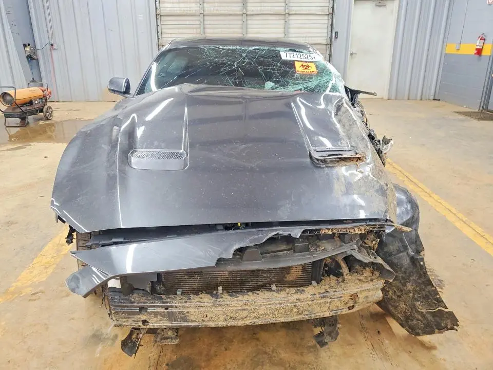 2019 FORD MUSTANG GT  