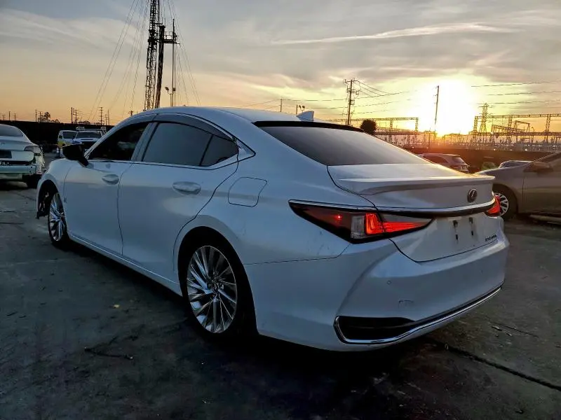 2019 LEXUS ES 300H  