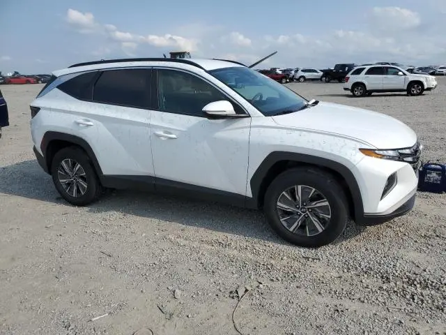 2023 HYUNDAI TUCSON BLUE  