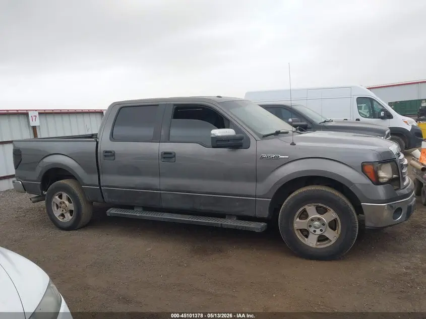 2013 FORD F-150 XLT