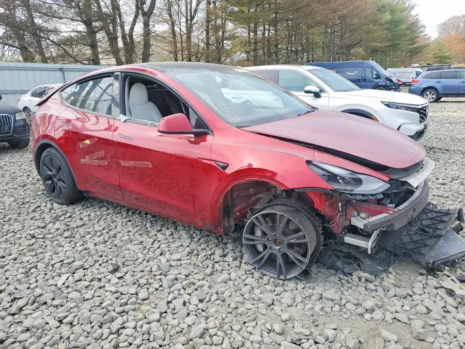 2025 TESLA MODEL Y   