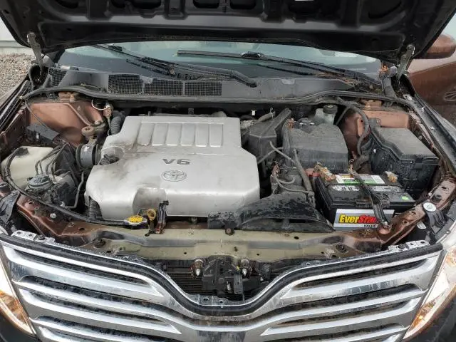 2010 TOYOTA VENZA   