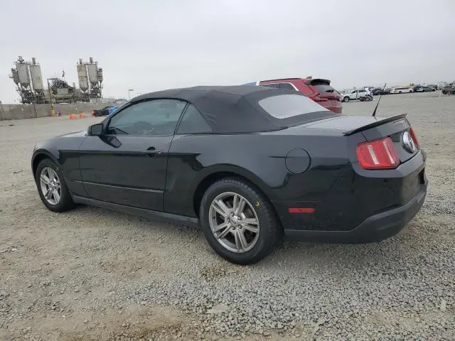 2010 FORD MUSTANG   