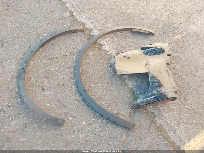 2024 TESLA MODEL Y RWD