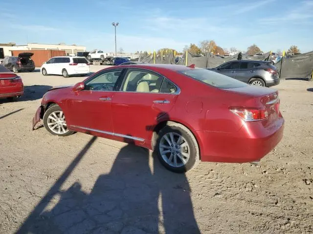 2011 LEXUS ES 350  