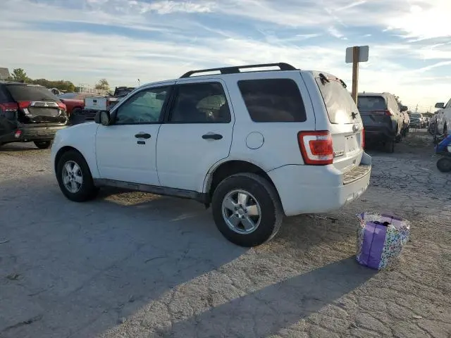 2010 FORD ESCAPE XLT  