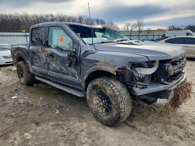 2024 FORD F150 RAPTOR  