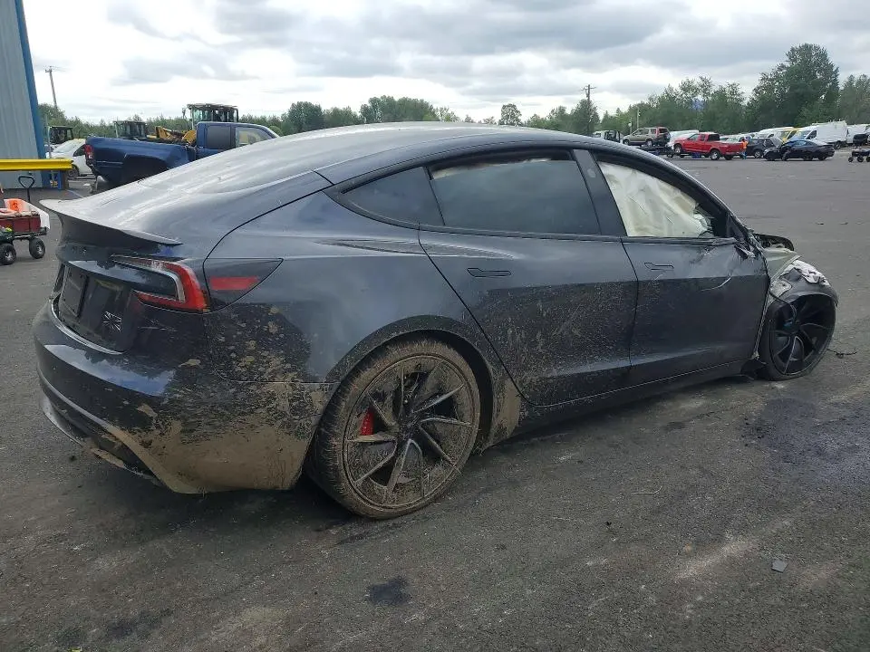 2025 TESLA MODEL 3   