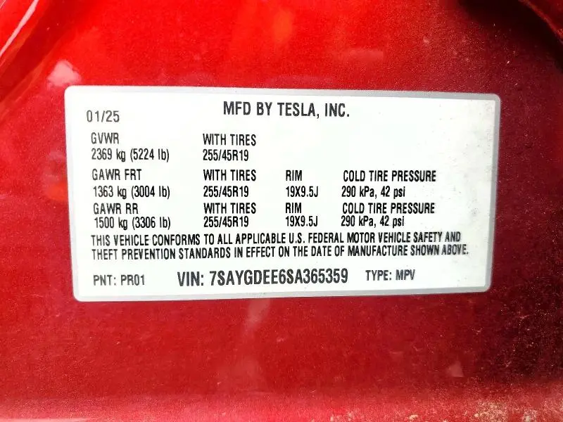 2025 TESLA MODEL Y   