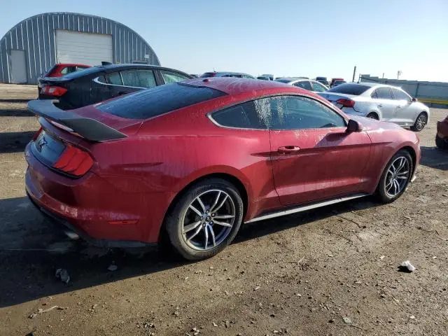2019 FORD MUSTANG   
