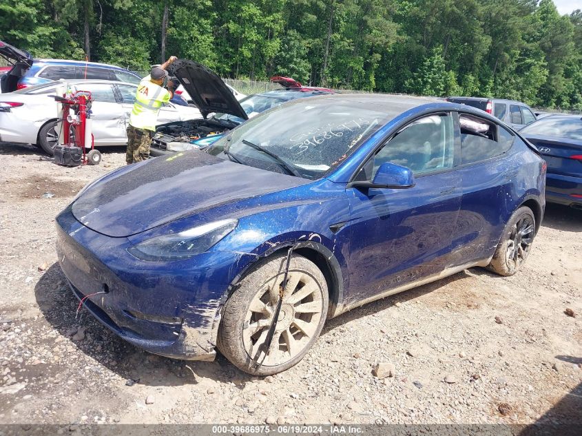 2023 TESLA MODEL Y  