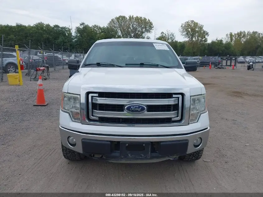 2013 FORD F-150 XLT