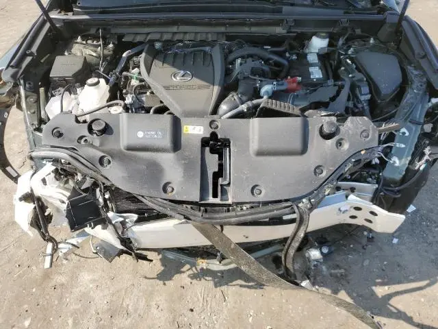 2025 LEXUS NX 350 BASE  