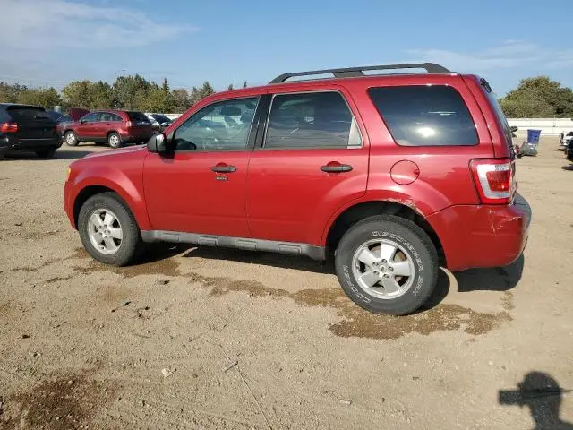2011 FORD ESCAPE XLT  