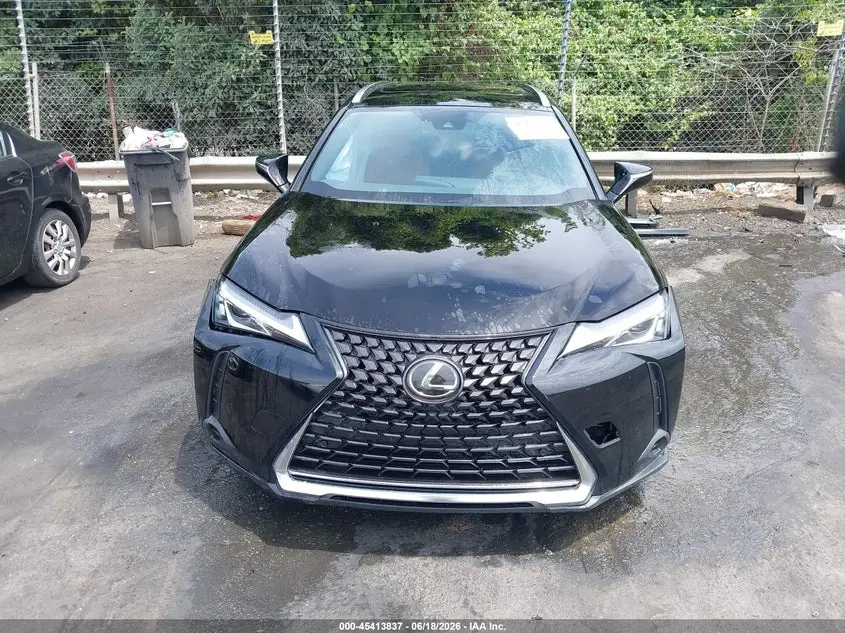 2019 LEXUS UX 200  