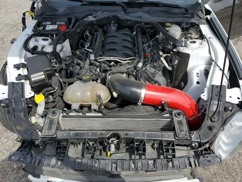 2019 FORD MUSTANG GT  