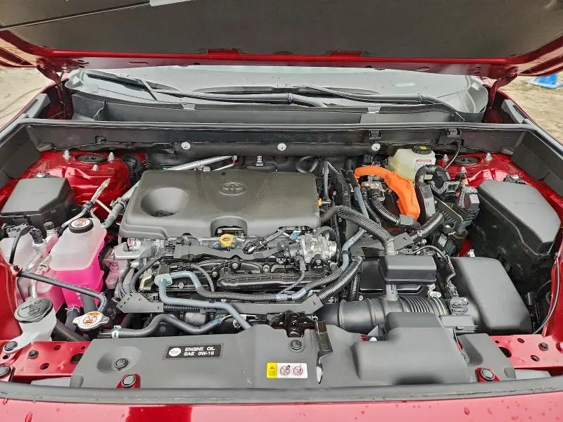 2025 TOYOTA RAV4 XLE  