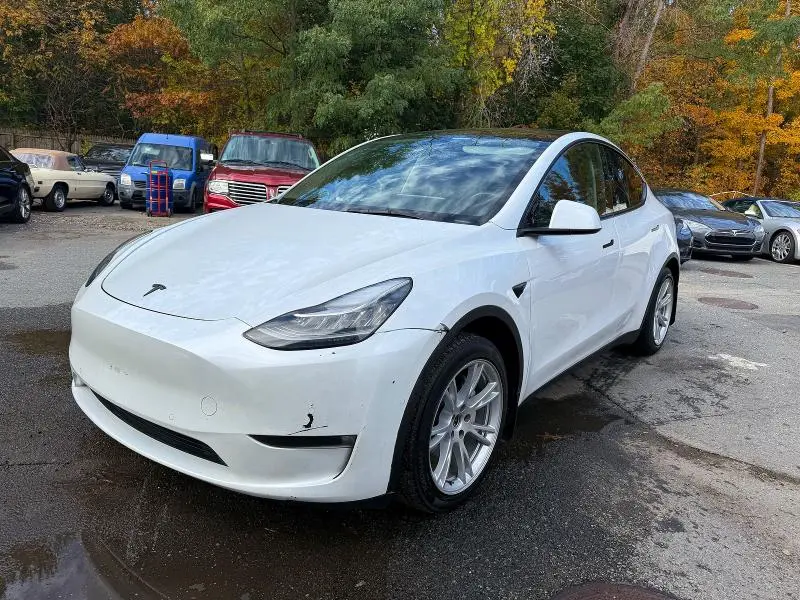 2021 TESLA MODEL Y   
