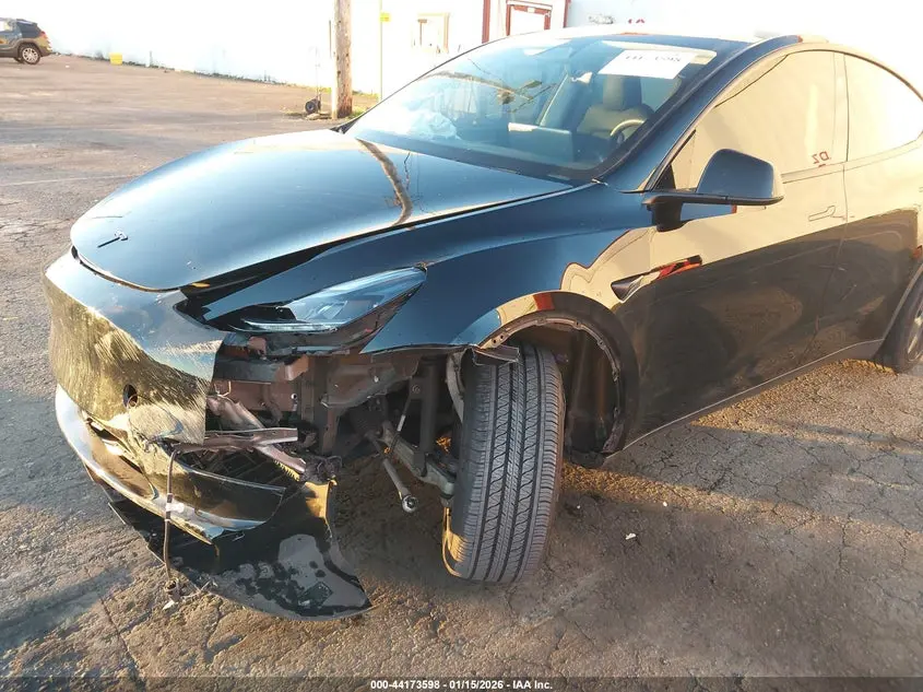 2024 TESLA MODEL Y RWD