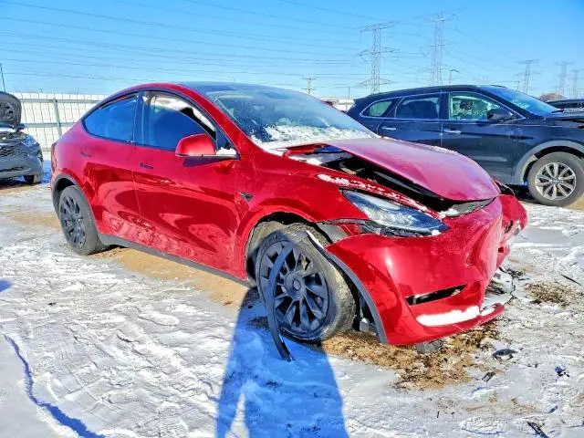 2021 TESLA MODEL Y   