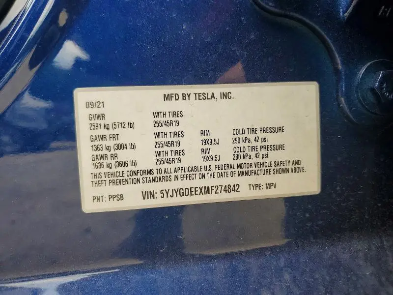 2021 TESLA MODEL Y   