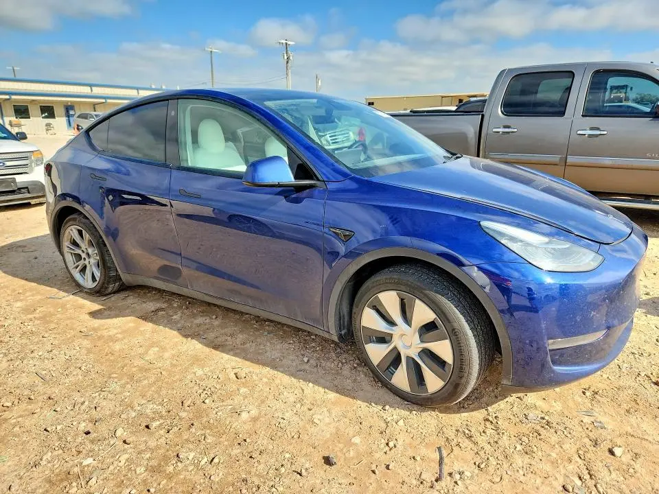 2021 TESLA MODEL Y   