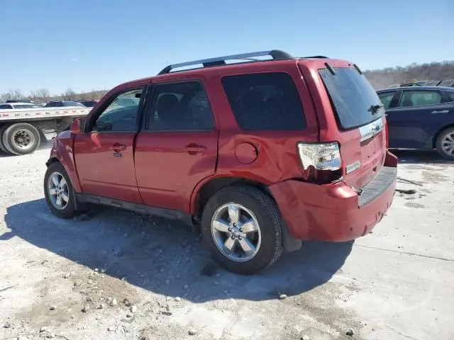2010 FORD ESCAPE LIMITED