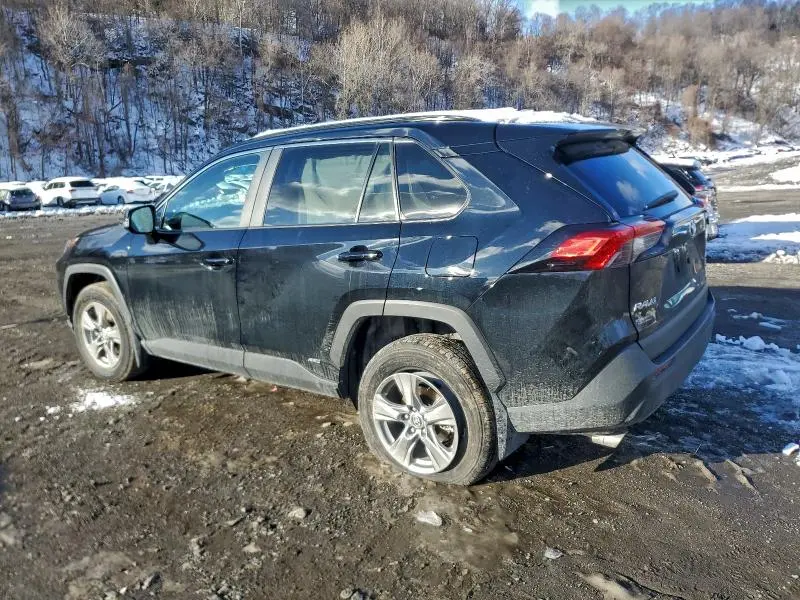 2025 TOYOTA RAV4 XLE  