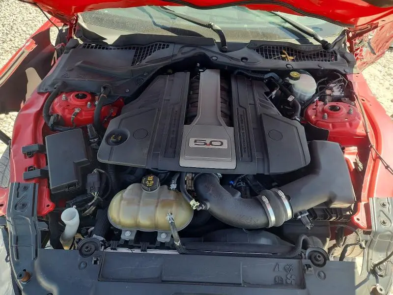 2019 FORD MUSTANG GT  