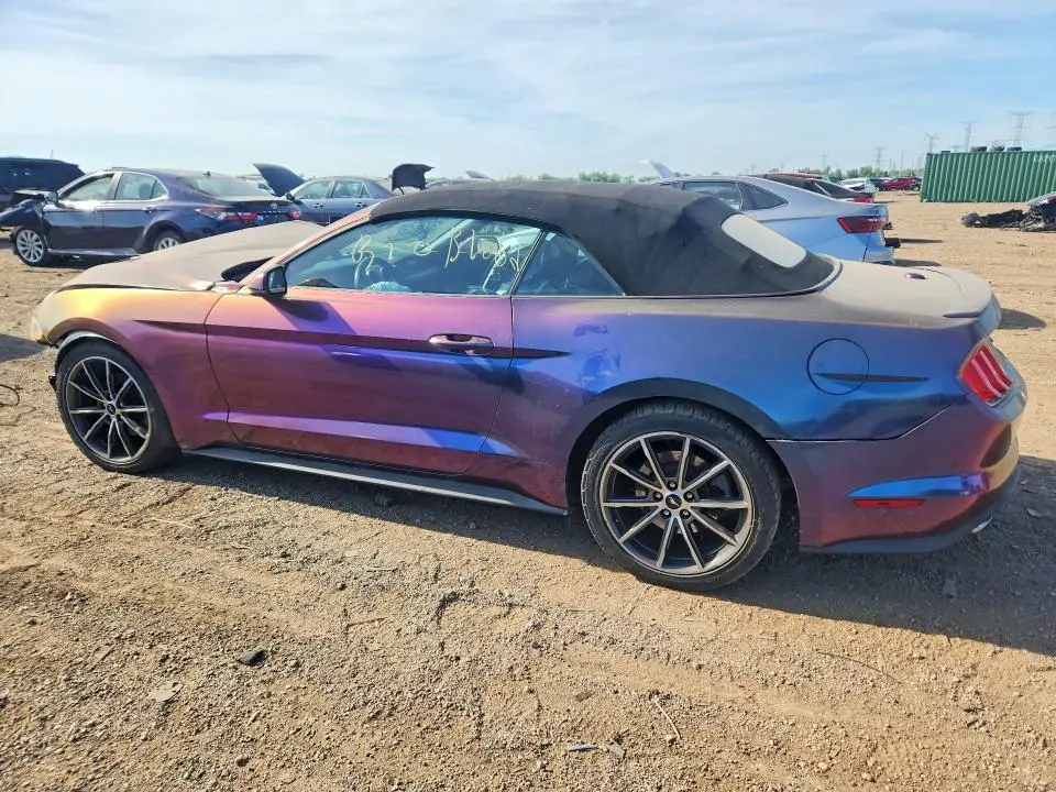 2019 FORD MUSTANG   