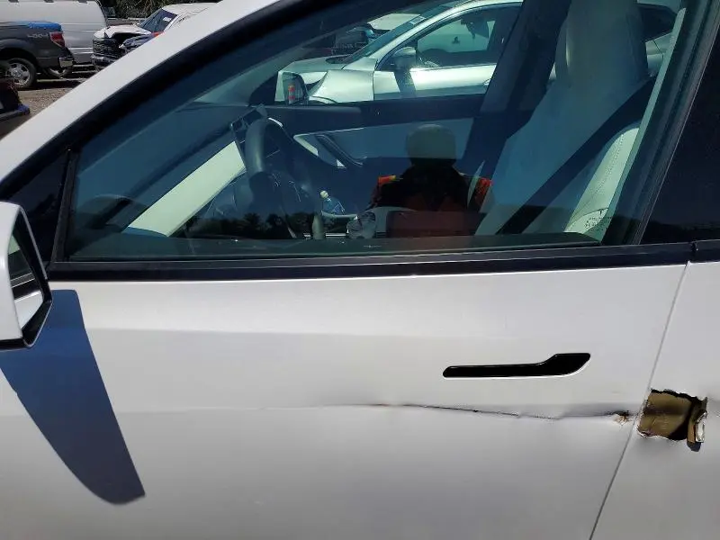 2021 TESLA MODEL Y   