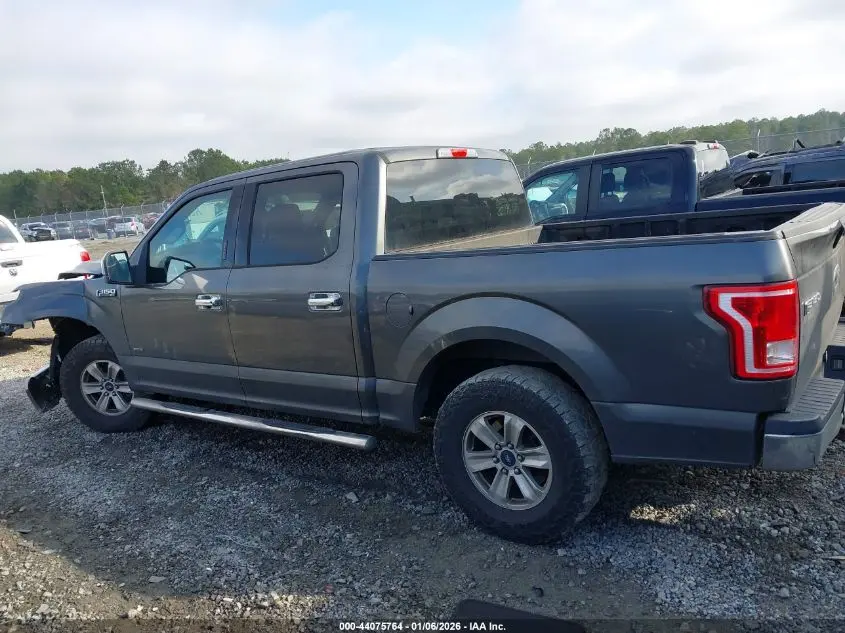 2015 FORD F-150 XLT