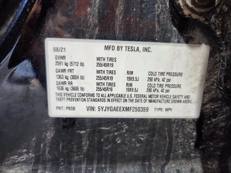 2021 TESLA MODEL Y   