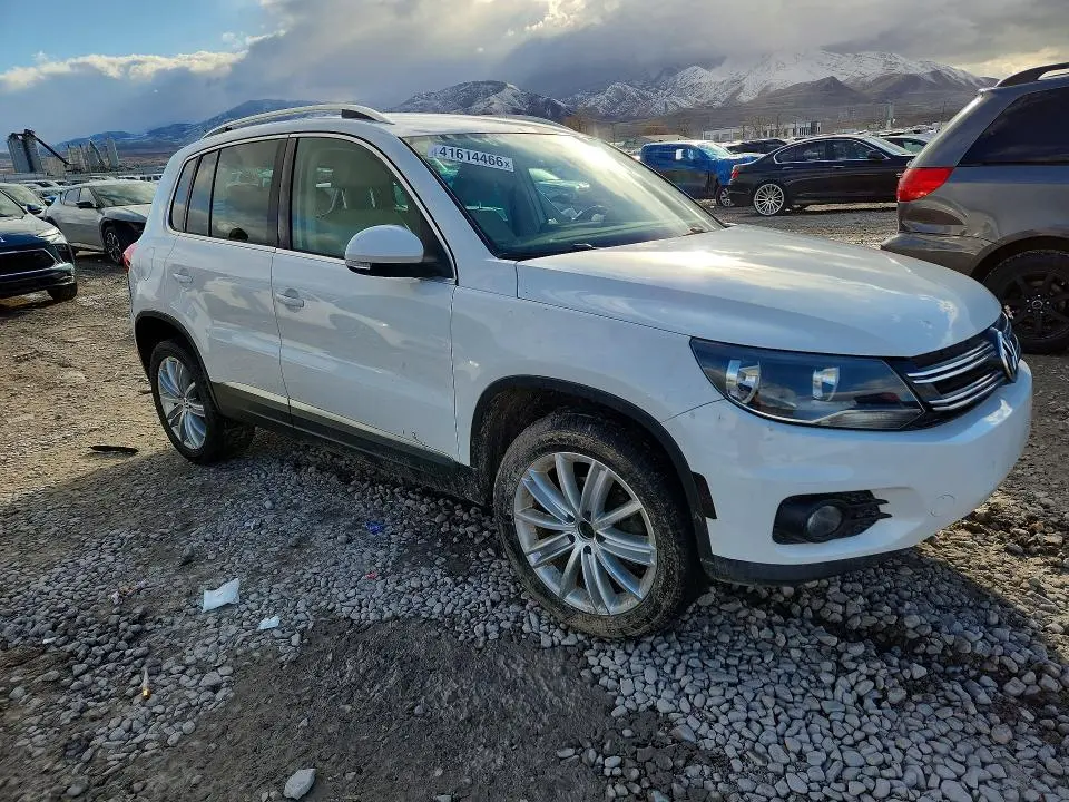 2013 VOLKSWAGEN TIGUAN S  